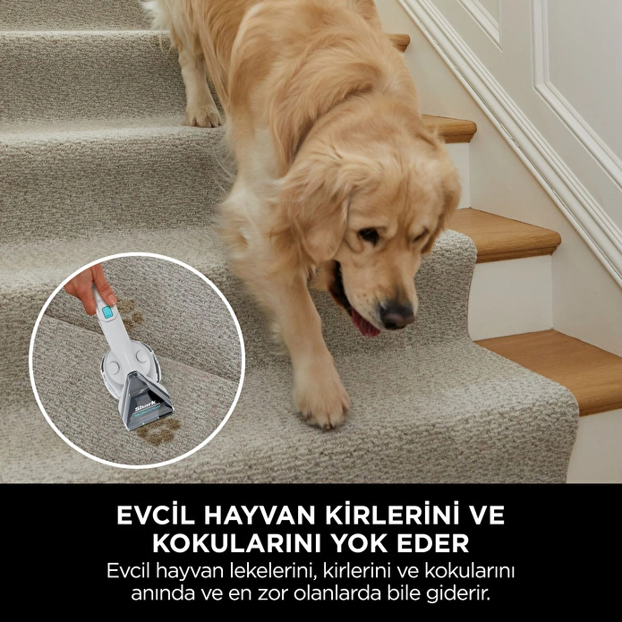 Shark StainStriker Pet Başlıklı, Halı - Koltuk Yıkama ve Leke Çıkarma Makinesi (Deterjan Hediyeli) - 4
